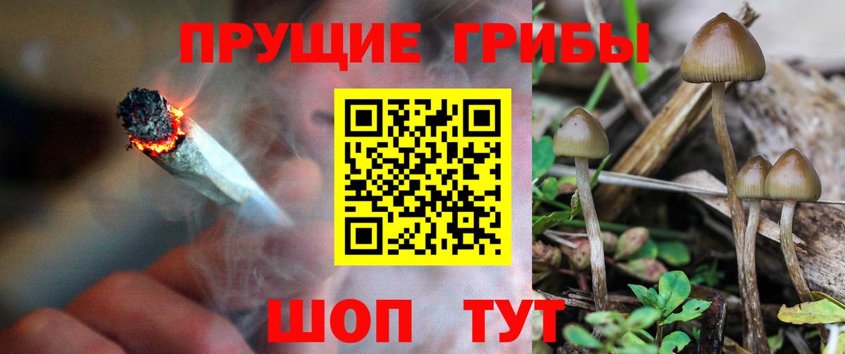 купить  сайты  Псилоцибиновые грибы Magic Shrooms  Вход с VPN  Екатеринбург 